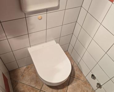 Zamjena wc školjke radi začepljenja odvoda
